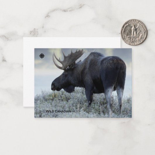 Fall - Elch Mitteilungskarte (Vorderseite/Rückseite Beispiel)