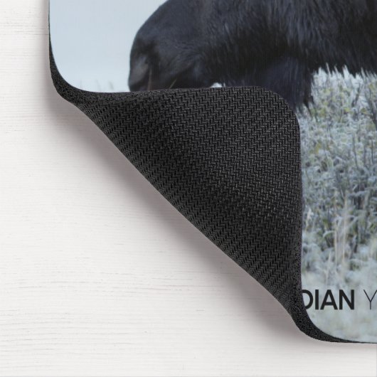 Fall - Elch Mousepad (Ecke)