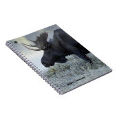 Fall - Elch Notizblock (Rechte Seite)