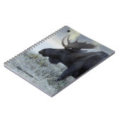 Fall - Elch Notizblock (Linke Seite)