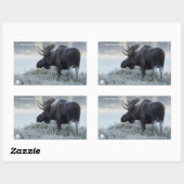 Fall - Elch Rechteckiger Aufkleber (Blatt)