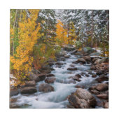 Fall entlang Bischofsgracht, Kalifornien Fliese (Vorderseite)