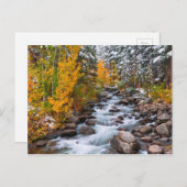Fall entlang Bischofsgracht, Kalifornien Postkarte (Vorne/Hinten)