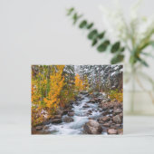 Fall entlang Bischofsgracht, Kalifornien Postkarte (Stehend Vorderseite)