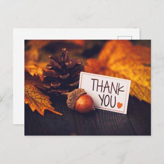 Fall Erntedank Fotografie Pumpkin Fotografie Postkarte (Vorne/Hinten)