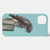 Fall: Falcon Case-Mate iPhone Hülle (Rückseite (Horizontal))