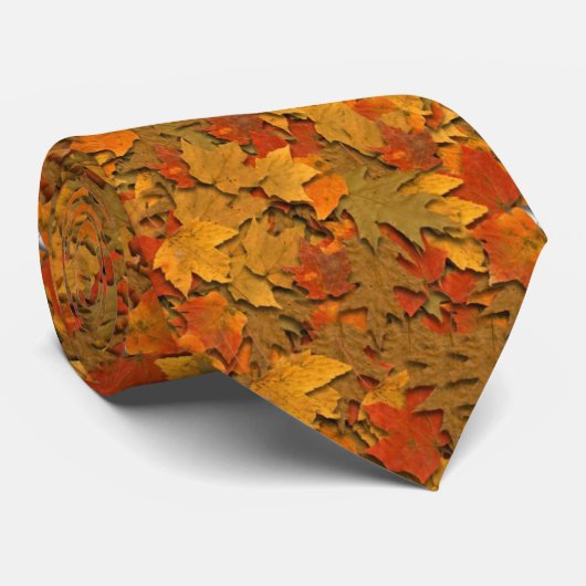 Fall, Fall, Krawatte (Gerollt)