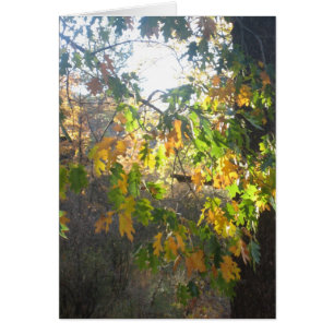 Fall-Farbe