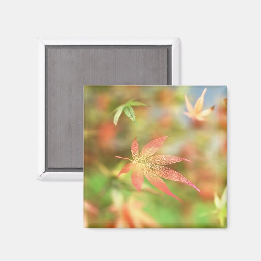 Fall Filigree Magnet (Vorderseite/Rückseite)