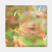 Fall Filigree Magnet (Vorne)