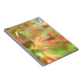 Fall Filigree-Notebook Notizblock (Rechte Seite)