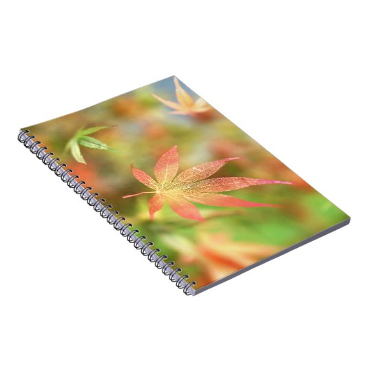 Fall Filigree-Notebook Notizblock (Rechte Seite)