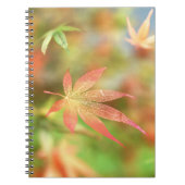 Fall Filigree-Notebook Notizblock (Vorderseite)