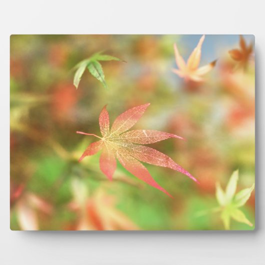 Fall Filigree Plaque Fotoplatte (Vorderseite)