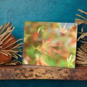 Fall Filigree Plaque Fotoplatte (Seite)