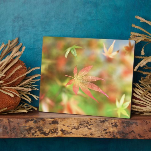 Fall Filigree Plaque Fotoplatte (Seite)