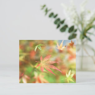 Fall Filigree Postkarte