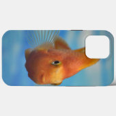 Fall Fish Case-Mate iPhone Case-Mate iPhone Hülle (Rückseite (Horizontal))