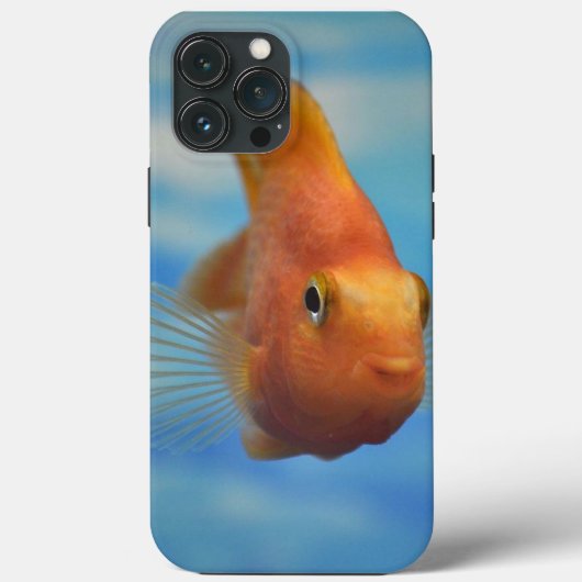 Fall Fish Case-Mate iPhone Case-Mate iPhone Hülle (Rückseite)