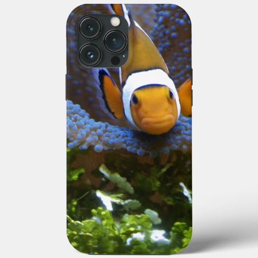 Fall Fish Case-Mate iPhone Hülle (Rückseite)