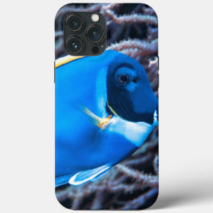 Fall Fish Case-Mate iPhone Hülle