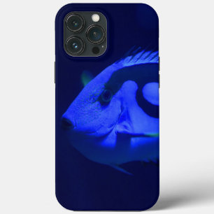 Fall Fish Case-Mate iPhone Hülle