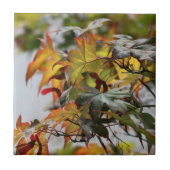 Fall Fliese (Vorderseite)