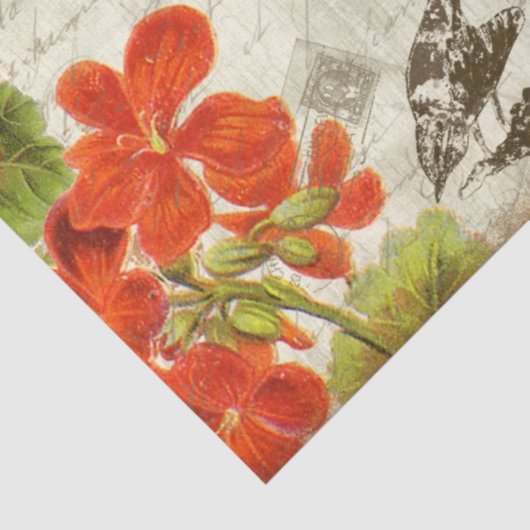 Fall Floral Foliage Hummingbirds Script Decoupage Seidenpapier (Ausschnitt)