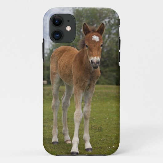 Fall Foal iPhone 5 Case-Mate iPhone Hülle (Rückseite)