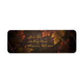 Fall Foliage (Vorne)