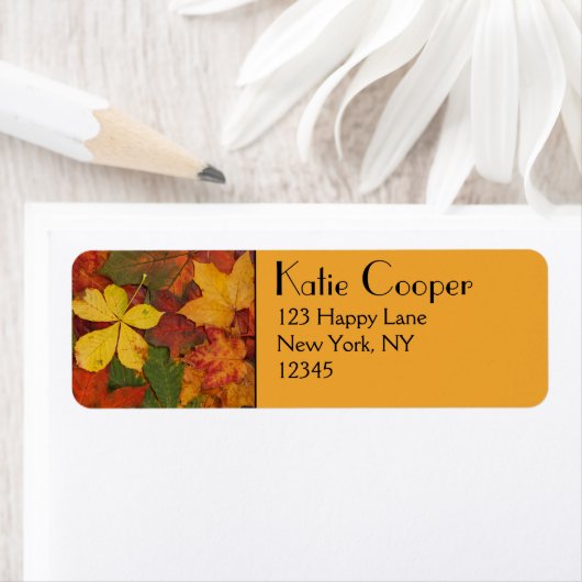 Fall Foliage (Insitu)