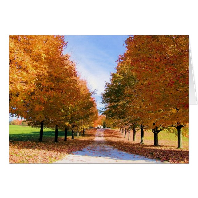 Fall Foliage (Vorderseite (Horizontal))