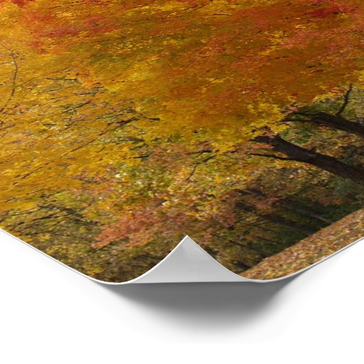 Fall Foliage 1 Poster (Ecke)