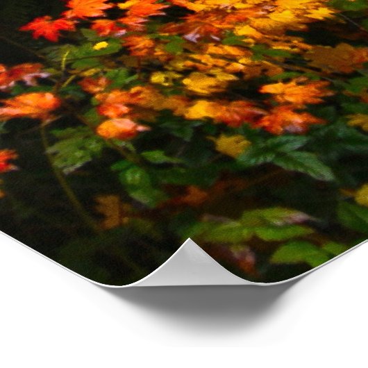 Fall Foliage 2 Druck mit Skriptersatz Poster (Ecke)