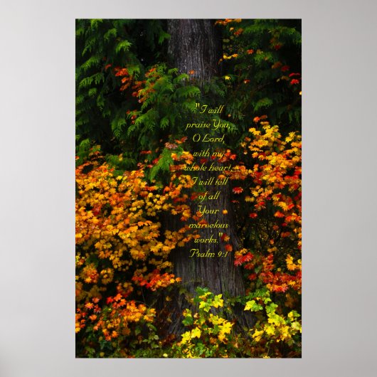 Fall Foliage 2 Druck mit Skriptersatz Poster (Vorne)