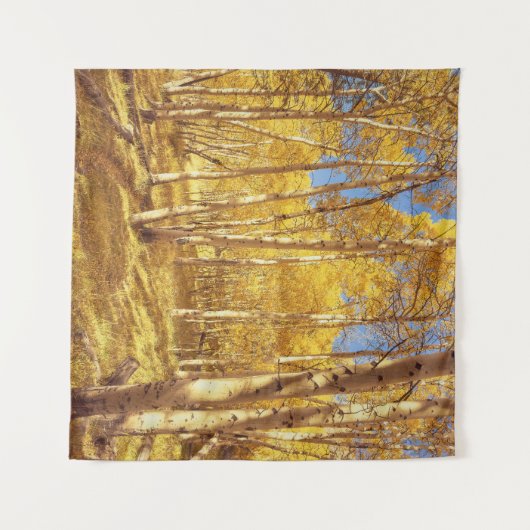 Fall Foliage Aspen Forest Wandteppich (Vorderseite (Horizontal))