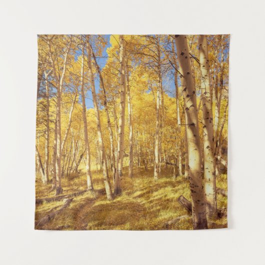 Fall Foliage Aspen Forest Wandteppich (Vorderseite)