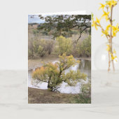 Fall Foliage at Good Earth State Park Karte (Gelbe Blume)