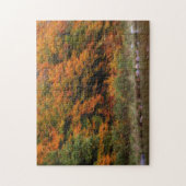 Fall Foliage Bordering River Puzzle (Vertikal)