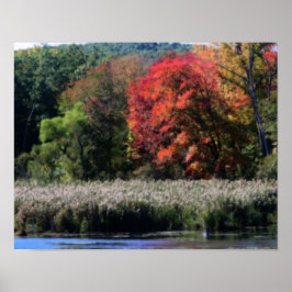 Fall Foliage, die einen Marsch Orton-Effekt grenzt Poster