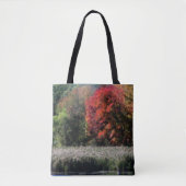 Fall Foliage, die einen Marsch Orton-Effekt grenzt Tasche (Vorderseite)