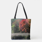 Fall Foliage, die einen Marsch Orton-Effekt grenzt Tasche (Rückseite)