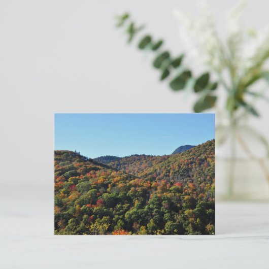 Fall Foliage entlang des Blue Ridge Parkway, NC Postkarte (Stehend Vorderseite)