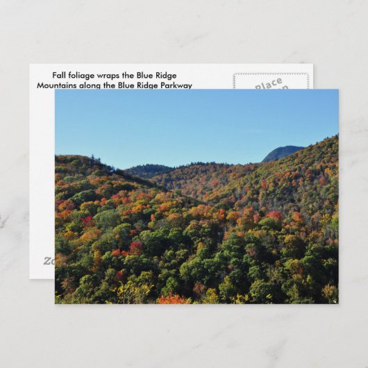 Fall Foliage entlang des Blue Ridge Parkway, NC Postkarte (Vorne/Hinten)