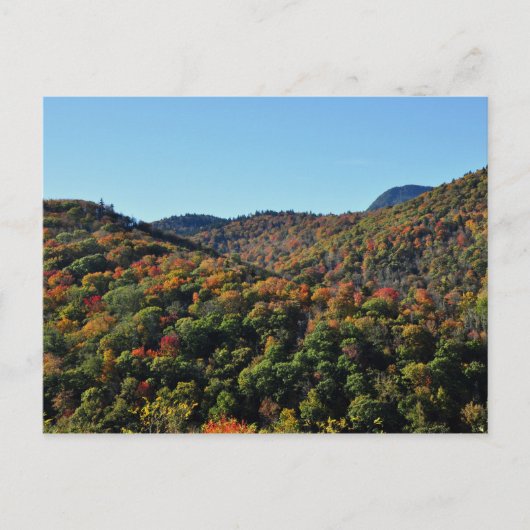 Fall Foliage entlang des Blue Ridge Parkway, NC Postkarte (Vorderseite)