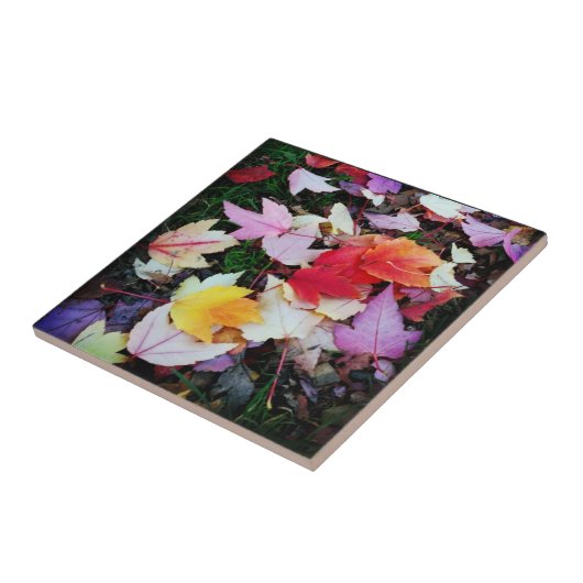 Fall Foliage Fliese (Seite)