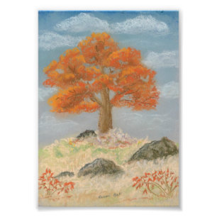 Fall Foliage Fotodruck