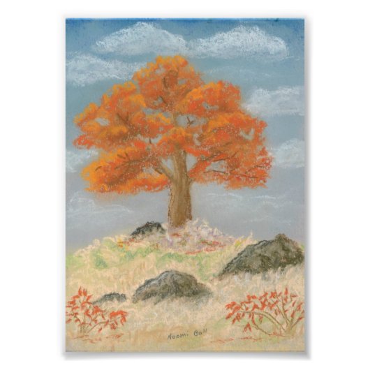 Fall Foliage Fotodruck (Vorne)