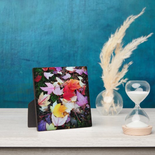 Fall Foliage Fotoplatte (InSitu)