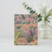 Fall Foliage, Franconia Notch Staat Park, NH Postkarte (Stehend Vorderseite)